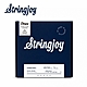 Stringjoy BA45130LS 五弦電貝斯套弦 product thumbnail 1