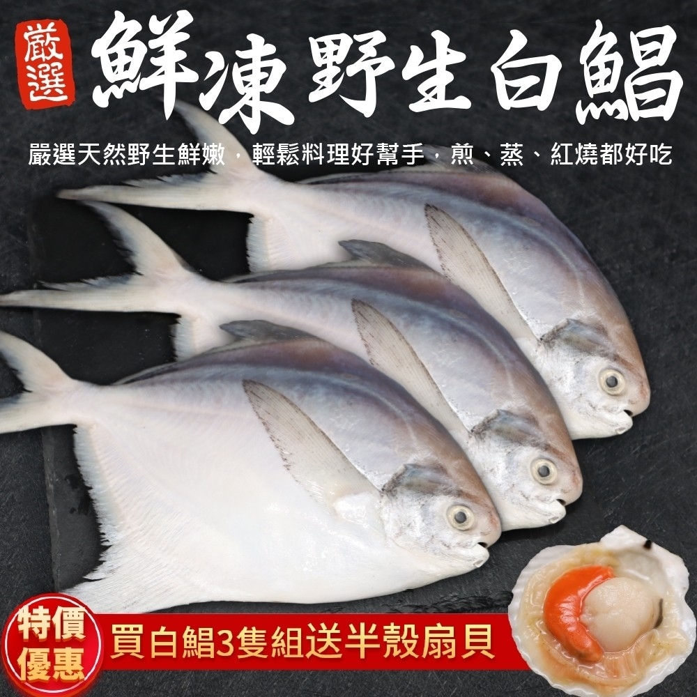 贈扇貝【海陸管家】鮮嫩野生白鯧魚3尾(每尾220g-280g)