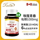 【Lovita愛維他】蜂王漿含6%癸烯酸素食膠囊1000mg (蜂王乳) product thumbnail 1