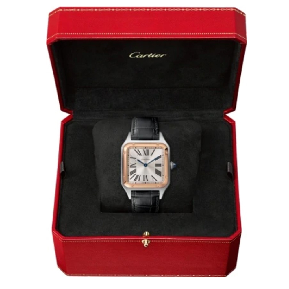 cartier w2sa0011