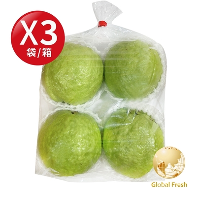 Global Fresh-盛花園 高CP 值國民水果-珍珠芭樂 1.2kg/袋，3袋/箱