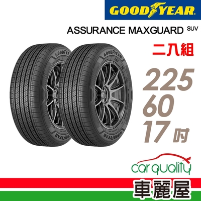 【GOODYEAR 固特異】輪胎固特異AMGS-2256017吋 _二入組_(車麗屋)