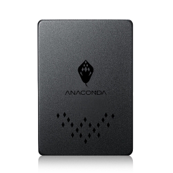 ANACOMDA 巨蟒 TB 960GB SATA III SSD