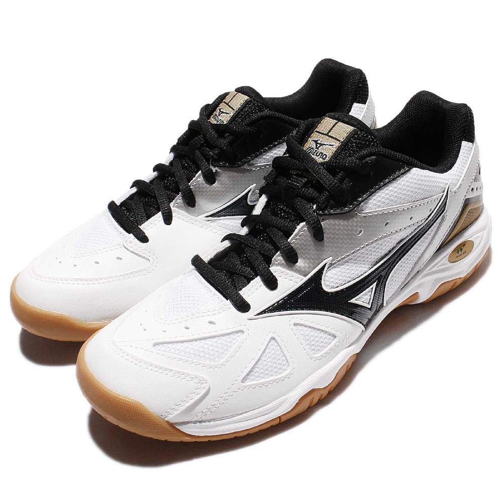 mizuno wave gate