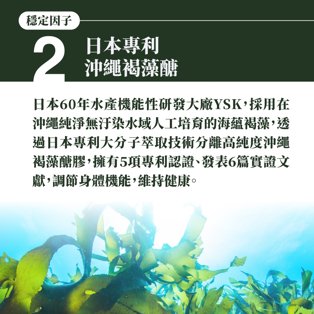 穩定因子2日本專利沖繩褐藻醣日本60年水產機能性研發大廠YSK,採用在沖繩純淨無汙染水域人工培育的海蘊褐藻,透過日本專利大分子萃取技術分離高純度沖繩褐藻醣膠,擁有5項專利認證、發表6篇實證文獻,調節身體機能,維持健康。