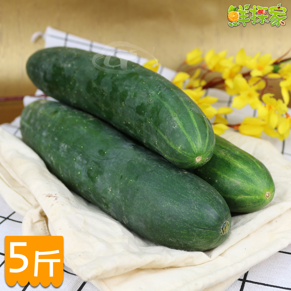 鮮採家 台灣特級鮮脆胡瓜 大黃瓜5台斤