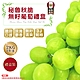 【菊頌坊】祕魯秋脆無籽葡萄禮盒 2kg/盒 product thumbnail 1