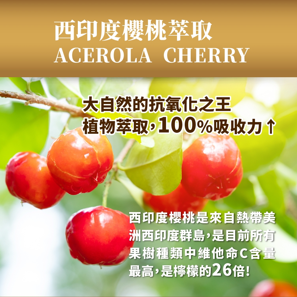 西印度櫻桃萃取ACEROLA CHERRY大自然的抗氧化之王植物萃取,100%吸收力西印度櫻桃是來自熱帶美洲西印度群島,是目前所有果樹種類中維他命C含量最高,是檸檬的26倍!