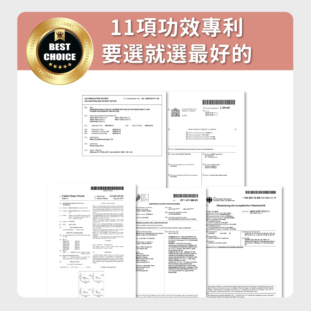 11項功效專利BESCHOICE要選就選最好的1 OVTION 11    20201177  TRLIN TENT FICE T          2299687A        Applicatin        та     1) 2)   LTD  ()   P        AUUnid States o    Pat     603 18 390 T2 2008.12.18EP 1 471 898 B1(EUROPEAN       ()00 US  A       A LA   હમ ગાયના દાદા                            IN WITH   A   A      OF  AND te           entder      N , T