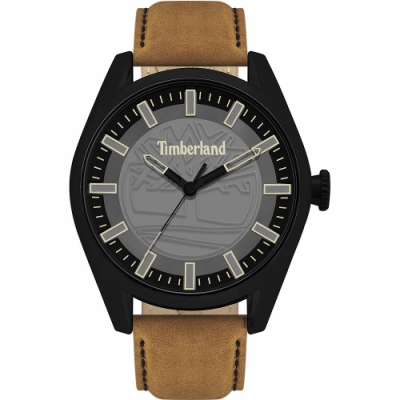 Timberland 天柏嵐LOGO運動風手錶 送禮推薦-46mm TBL.16005JYB/13