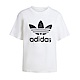 Adidas Trefoil Tee IR9534 女 短袖 上衣 T恤 運動 經典 休閒 三葉草 基本款 白 product thumbnail 1