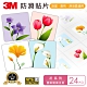 3M 防滑貼片-花 (24片入) product thumbnail 1