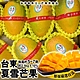 【果農直配】台東芒果界LV夏雪芒果2.5kg (約6-8顆) product thumbnail 1
