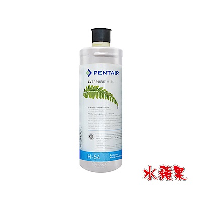 水蘋果公司貨 EVERPURE H54 淨水濾心