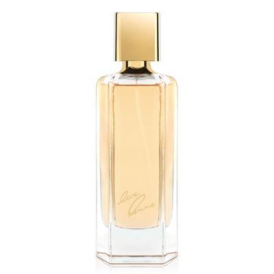 Anne Klein 永恆愛戀同名經典女性淡香精100ml-Tester