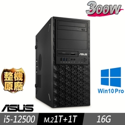 ASUS 華碩 12代繪圖先鋒工作站 i5-12500/16G/M.2-1TB+1TB/W10P