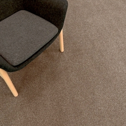 范登伯格 - 潮流 雙色紗素面地毯 (棕咖色 - 183x240cm)