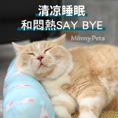 Ｍamy Pets 萌寵夏日清涼藤蓆涼墊(L)