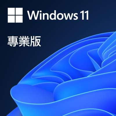 【Microsoft 微軟】Windows 11 專業版- ESD數位下載版 (FQC-10572)