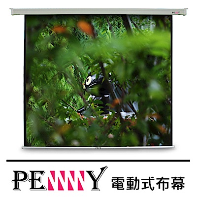 PENNY電動布幕 PS-150(1:1)