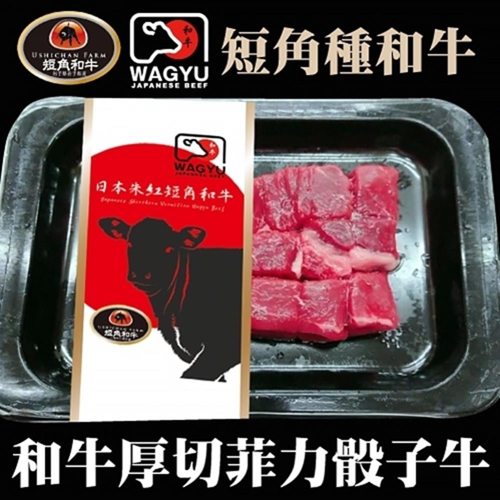 【海陸管家】日本短角牛-腿菲力厚切燒肉片2盒(每盒約100g)