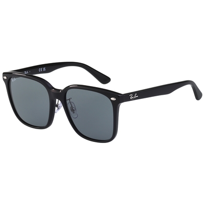 RAY BAN 太陽眼鏡(黑色)RB2206D