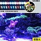 月陽水族箱用28公分LED多色光水陸兩用高亮水草燈水族燈植物栽培燈(WA28TU) product thumbnail 4