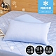 【好物良品】日本極致冷感科技透氣枕頭套二入組(冷感科技 夏季睡眠) product thumbnail 1