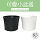 生活King 8.5吋如意盆-3入組 product thumbnail 1