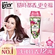 日本No.1 Lenor蘭諾衣物芳香豆(香香豆) - 甜花石榴香520ml product thumbnail 1