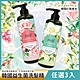 韓國 天使髮則 益生菌洗髮精740ml-任選3入(綠茶控油/玫瑰水潤) product thumbnail 1