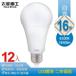 太星電工 (12入) 16W超節能LED燈泡/白光 A816W*12