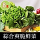 【享吃鮮果】新鮮爽脆鮮菜8盒(150g±5%/包) product thumbnail 1