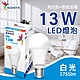 【威剛】13W LED燈泡 球泡燈 E27 省電燈泡 白光 黃光 自然光 product thumbnail 1
