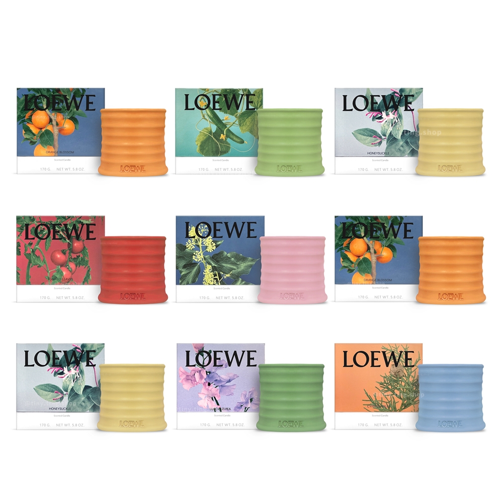 LOEWE 香氛蠟燭 170g (多款可選)