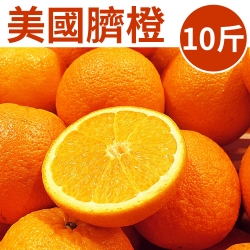 美國臍橙10斤
