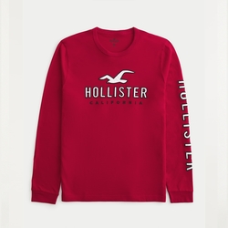 Hollister 海鷗 HCO 熱銷刺繡大海鷗文字圖案長袖T恤-紅色