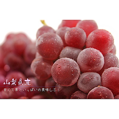 【鮮果日誌】山梨縣 溫室珍珠葡萄1kg (5-6房)