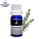 Body Temple迷迭香(Rosemary)芳療精油10ML product thumbnail 1