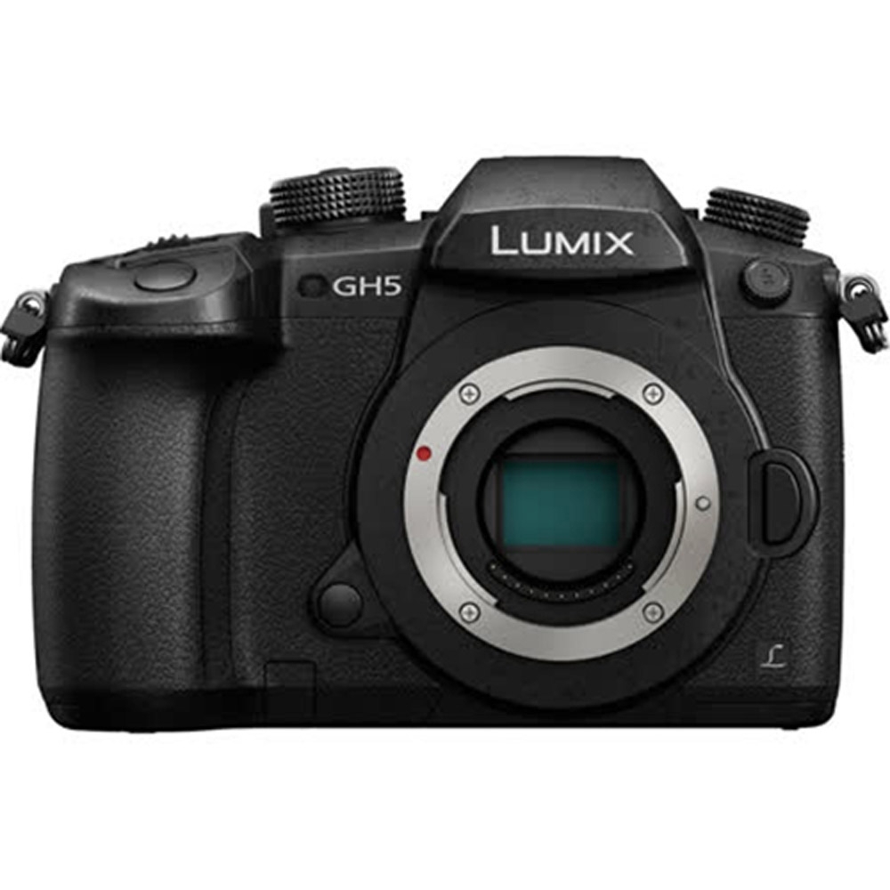 Panasonic LUMIX GH5 單機身 公司貨