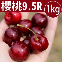 甜露露 華盛頓櫻桃9.5R 1kg