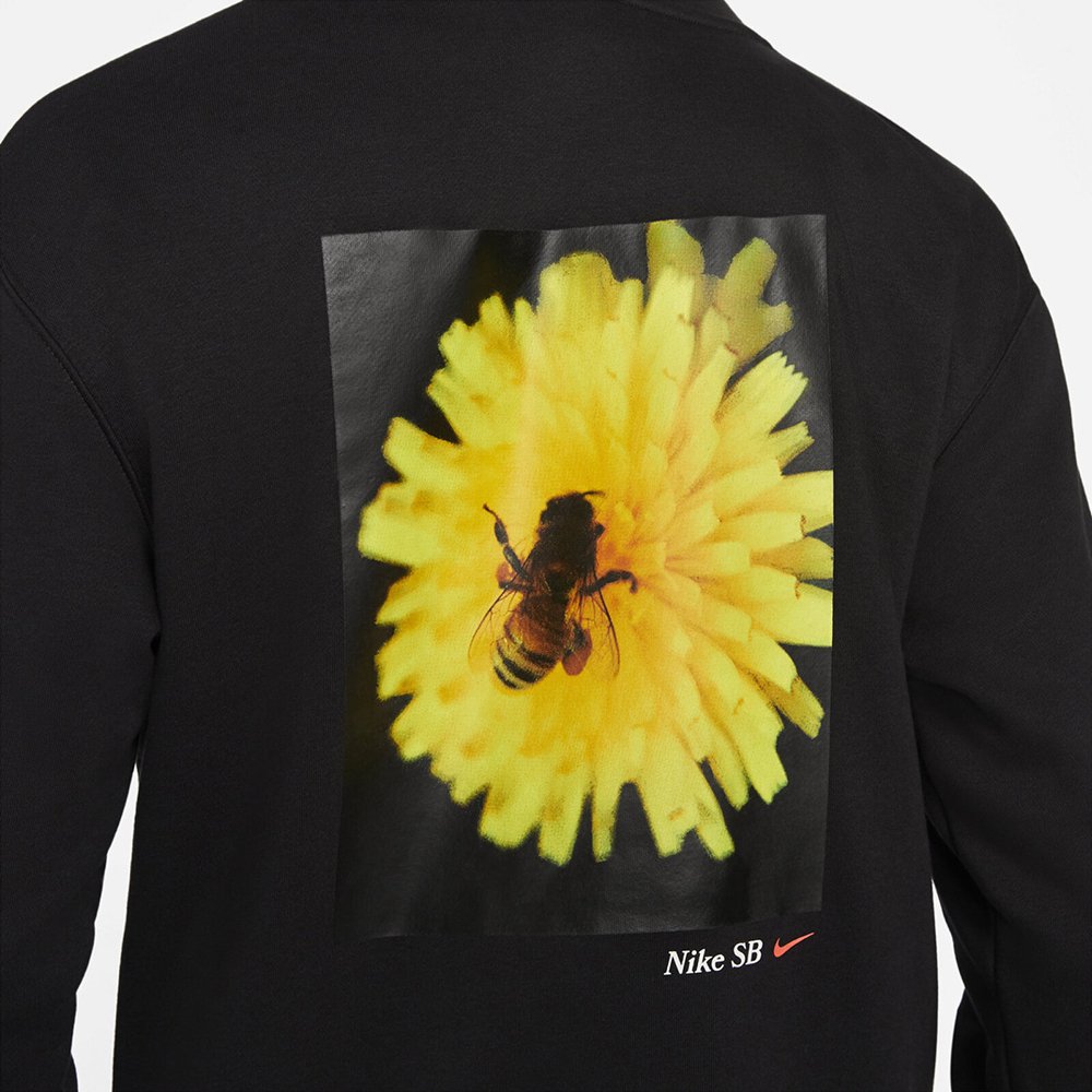 Nike As M SB Bee Hoodie DD2094 010 T