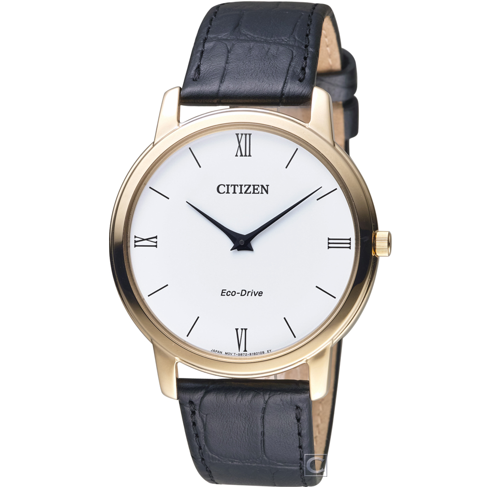 CITIZEN 紳士的品格光動能腕錶(AR1133-23A)39mm