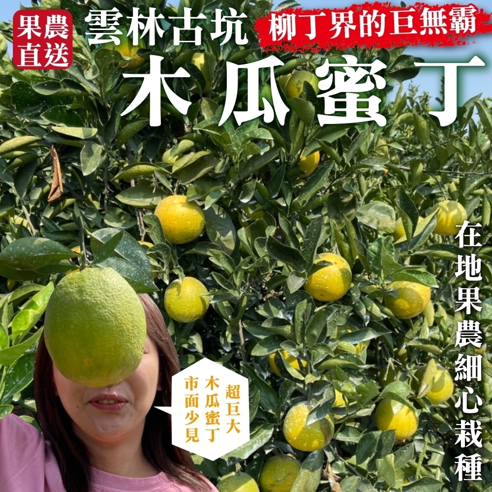 【果農直配】嚴選雲林古坑木瓜蜜丁5斤(約14-17入)