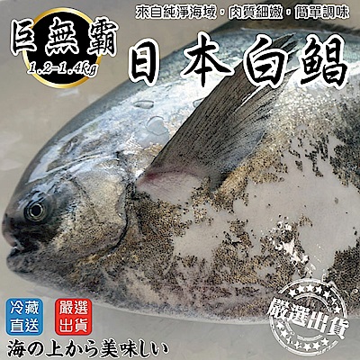 【海陸管家】日本巨無霸4XL白鯧魚(每隻約1.2kg) x1隻