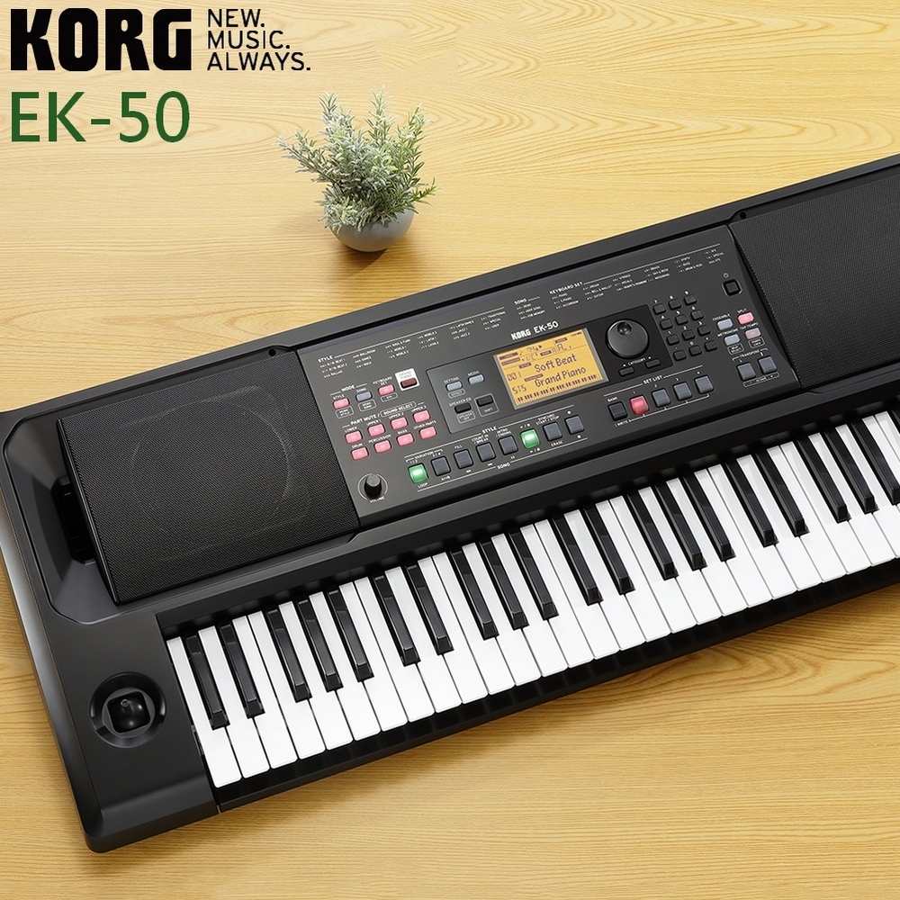 『KORG 電子琴』 EK-50自動伴奏琴 / 編曲鍵盤入門必備 / 公司貨保固