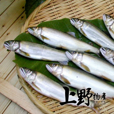 【上野物產】宜蘭精選黃金公香魚 x20隻(100g土10%/隻)