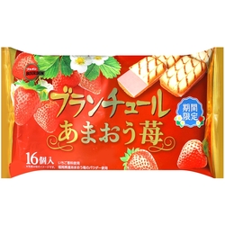 BOURBON北日本 草莓可可風味夾心餅家庭包 124.8g
