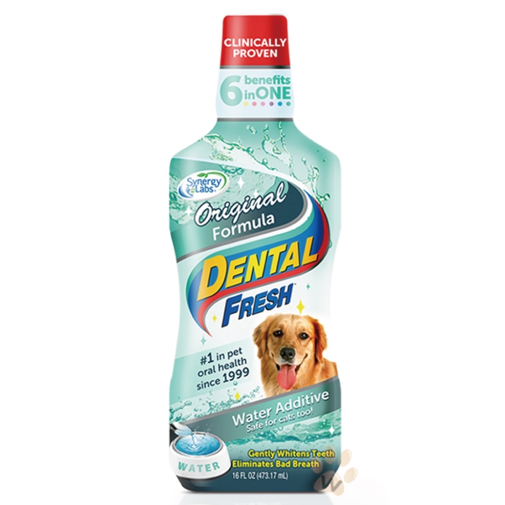 美國潔牙白Dental Fresh-一般版潔牙液 237ml (DF0002)「2罐組」