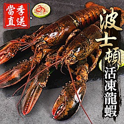 【海鮮王獨家進口】當季活凍波士頓大龍蝦 6隻組(500g